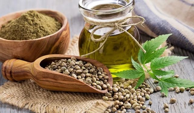 İltihabı Kökten Yok Etmek Mümkün mü? Bilimsel Olarak Kanıtlanmış En Güçlü Doğal Bitkiler Hangileri?