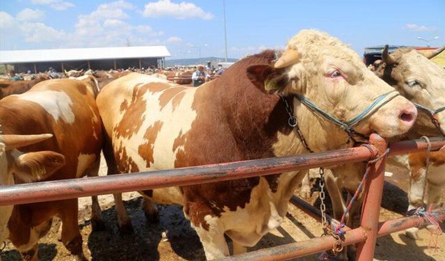 KURBAN BAYRAMI TATİLİ 9 GÜN OLACAK MI? 2025 Kurban Bayramı Hangi Gün Başlayacak, Bayram Tatili Resmi Olarak Kaç Gün Sürecek ve 9 Gün Olacak mı?