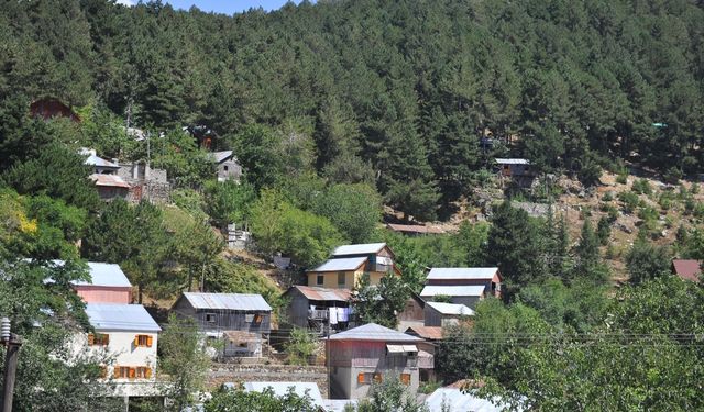 Osmaniye’de 5 Aylık Orman Yasağı Başladı: 1 Haziran-31 Ekim Arasında Ormanlara Giriş ve Piknik Yasaklandı