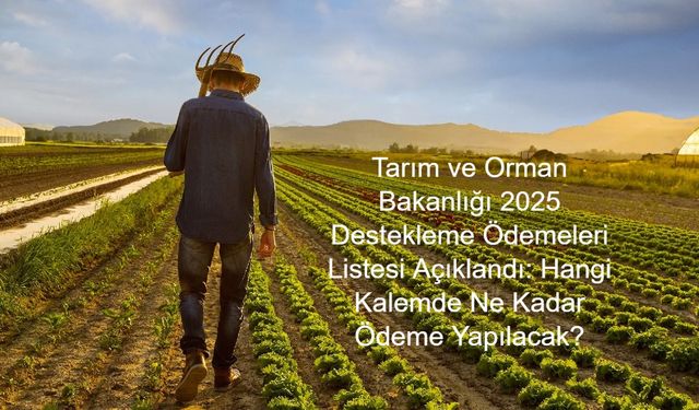 ÇİFTÇİ DESTEK ÖDEME HABERLERİ: Tarım ve Orman Bakanlığı 2025 Destekleme Ödemeleri Listesi Açıklandı: Hangi Kalemde Ne Kadar Ödeme Yapılacak?