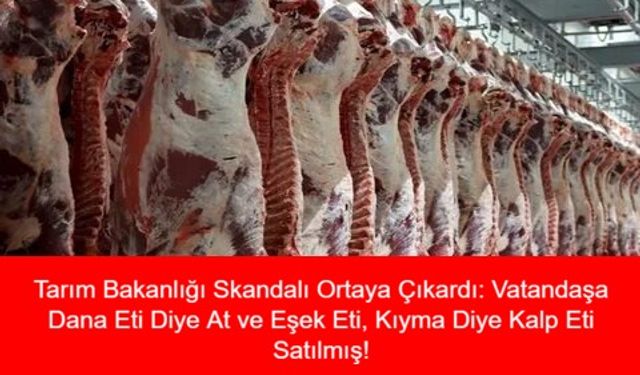 Tarım Bakanlığı Skandalı Ortaya Çıkardı: Vatandaşa Dana Eti Diye At ve Eşek Eti, Kıyma Diye Kalp Eti Satılmış!
