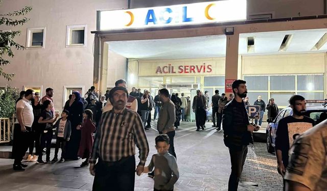 Şanlıurfa Siverek'te İki Mahalle Arasında Tarlaya Giren Hayvanlar Yüzünden Çıkan Taşlı Sopalı Kavgada 9 Kişi Yaralandı