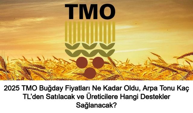 2025 TMO Buğday Fiyatları Ne Kadar Oldu, Arpa Tonu Kaç TL’den Satılacak ve Üreticilere Hangi Destekler Sağlanacak?