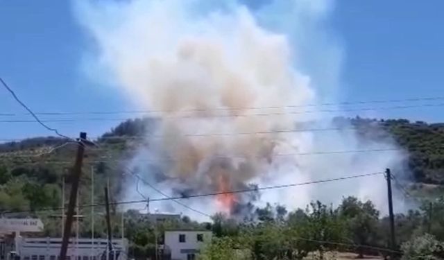 Adana ve Osmaniye’yi Saran Alevler Korkuttu: 14 Farklı Yangından 13’ü Söndürüldü, Boztahta’da Kritik Müdahale Devam Ediyor
