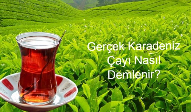 Gerçek Karadeniz Çayı Nasıl Demlenir? Rizeli Birinciden Altın Değerinde Tüyolar!