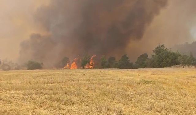 Denizli Çal’da Korkutan Yangınına  Havadan ve Karadan,1 Uçak, 2 Helikopter ve 106 Personel Seferber Oldu