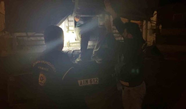 Erzurum’da Gece Yarısı Nefes Kesen Operasyon: Tırın Dorsesinde Saklanan 22 Düzensiz Göçmen Yakalandı, İki Şüpheli Tutuklandı
