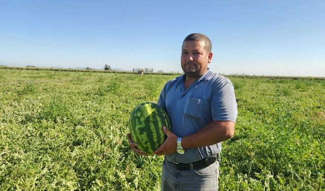 Kilosu 1 Liraya Düşen Karpuz, Çiftçiyi Neden Tarlayı Terk Etmeye Zorluyor?