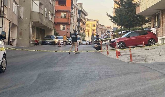 İstanbul Maltepe’de Kamyonet Yaşlı Kadına Çarpıp Kaçtı, Duvara ve Servis Aracına Çarparak Durduruldu – Şehriye Kaynar Hayatını Kaybetti