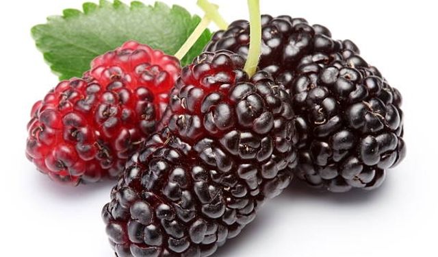 Rüyada Karadut Görmek Ne Anlama Gelir? Gizli Düşmanlara Karşı Bir Uyarı mı?