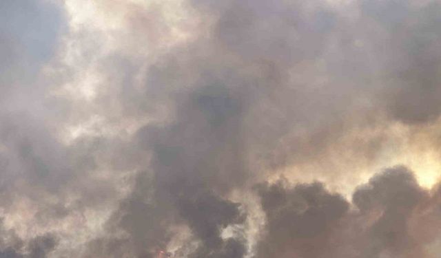 Uşak’ta Korkutan Orman Yangını: Ketenlik Köyü Boşaltıldı, Ekipler Havadan ve Karadan Müdahale Ediyor
