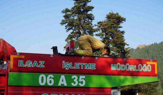 Alevlerin Arasında Dua: Çankırı’da Yangınla Savaşan Görevlilerin Namaz Kıldığı An Sosyal Medyada Gündem Oldu