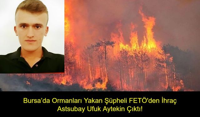 Bursa’da Ormanları Yakan Şüpheli FETÖ'den İhraç Astsubay Ufuk Aytekin Çıktı! Aracında Bidon Bidon Benzinle Yakalandı!