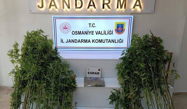 Osmaniye’de Suç Çetelerine Büyük Darbe: 121 Şüpheli Yakalandı, Silahlar ve Yasaklı Maddeler Ele Geçirildi