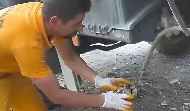 Osmaniye Karaçay'da Çıkan Yangında Kurtarılan Kaplumbağa, Ekiplerin Merhamet Dolu Dokunuşuyla Yeniden Hayata Tutundu