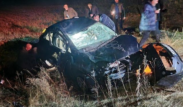 Kars Selim’de Aile Faciası! Koyunyurdu Mevkiinde Meydana Gelen Kazada Bir Kişi Öldü, Çocuklar Yaralı