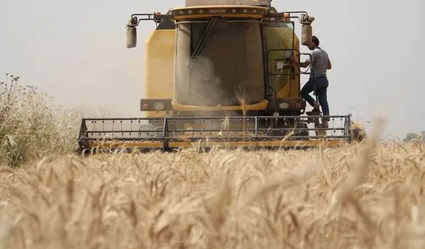 Büyük Fırsat! 🌱 Türkiye Genelinde İşlenmeyen Tarım Arazileri Kiraya Veriliyor, İlk Başvurular Kasım’da