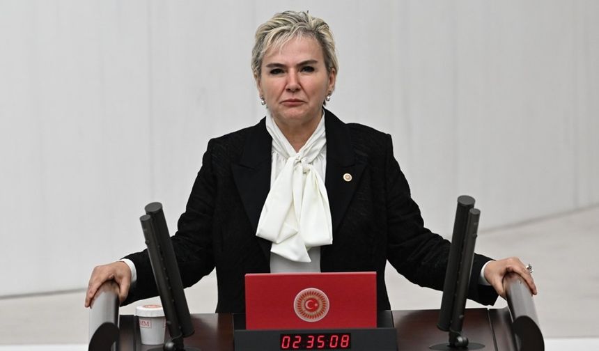 İYİ Parti İstanbul Milletvekili Nimet Özdemir neden İstifa etti? İYİ Parti'nin Meclis'teki sandalye sayısı kaça düştü?