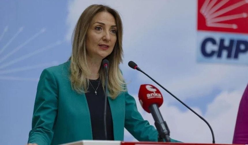 CHP Genel Başkan Yardımcısı ve Kadın Kolları Genel Başkanı Aylin Nazlıaka Kimdir, Aslen Nereli, Kaç Yaşında?