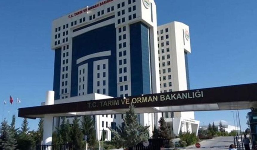 Tarım ve Orman Bakanlığı 2025 Yılı İçin 8 Bin 500 Personel Alımını Ne Zaman Gerçekleştirecek, Başvurular Başladı mı, Hangi Kadro ve Branşlar İçin Alım Yapılacak, Başvuru Şartları Neler?