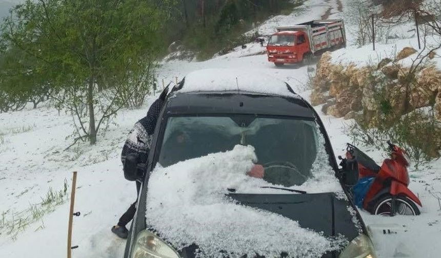 Mersin’de Dolu Felaketi Çiftçiyi Nasıl Etkiledi? Tarsus Ovası Neden Doluya Teslim Oldu?