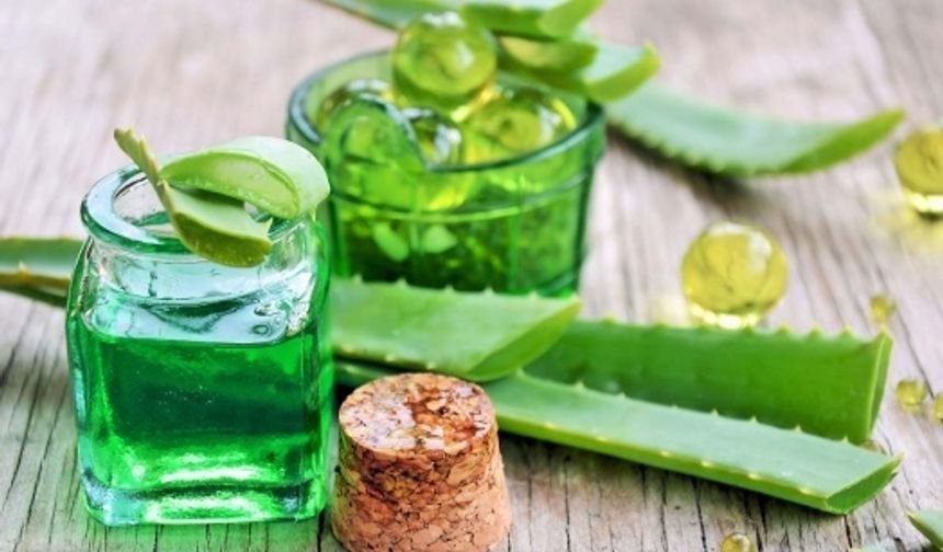 Aloe Vera Çayı Gerçekten Şifa mı Dağıtıyor? Nasıl Yapılır ve Faydaları Nelerdir?