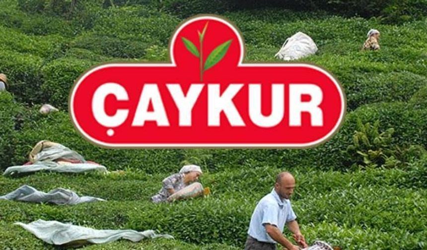 ÇAYKUR 1500 PERSONEL ALIMI BAŞVURU HABERLERİ || Çaykur 1.500 personel alımı müracaatları açıldı mı, koşullar neler? Hangi iş kollarında alım yapılacak, kimler başvuru yapabilecek?