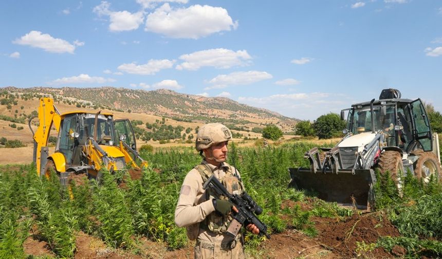Diyarbakır Lice’de Uyuşturucuya Darbe: Helikopter Destekli Operasyonda 12 Milyon Kenevir ve 127 Kilogram Esrar Ele Geçirildi