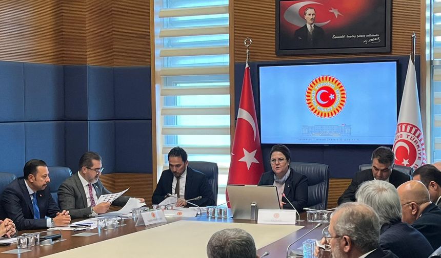 TBMM’de İnsan Haklarını İnceleme Komisyonu Başkanlığına Yeniden Derya Yanık Seçildi! Yeni Başkan Vekilleri ve Üyeler Kimlerden Oluşuyor?