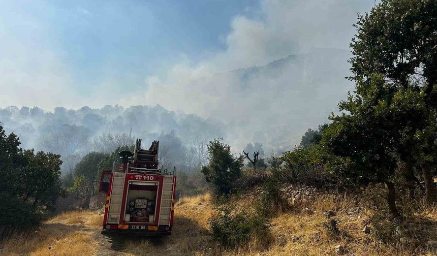 Diyarbakır Lice’de Alevlerin Yaklaştığı Köylerde Halk Güvenli Bölgelere Tahliye Edildi
