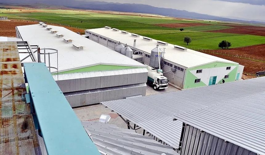 Afyonkarahisar’da FETÖ Operasyonu! YUMTAT’a Kayyum Atandı, Günlük 300 Bin Yumurta Üreten Dev Tesis Devlet Denetimine Geçti