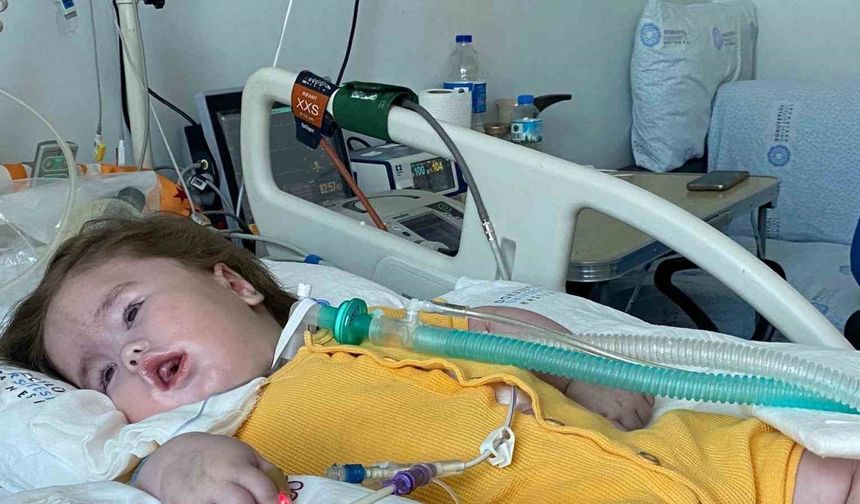 Özel Hastanede İhmal İddiası, Sağlıklı Doğan Vedat Eymen Bebek Yoğun Bakımda Komada, Aile Adalet Arıyor