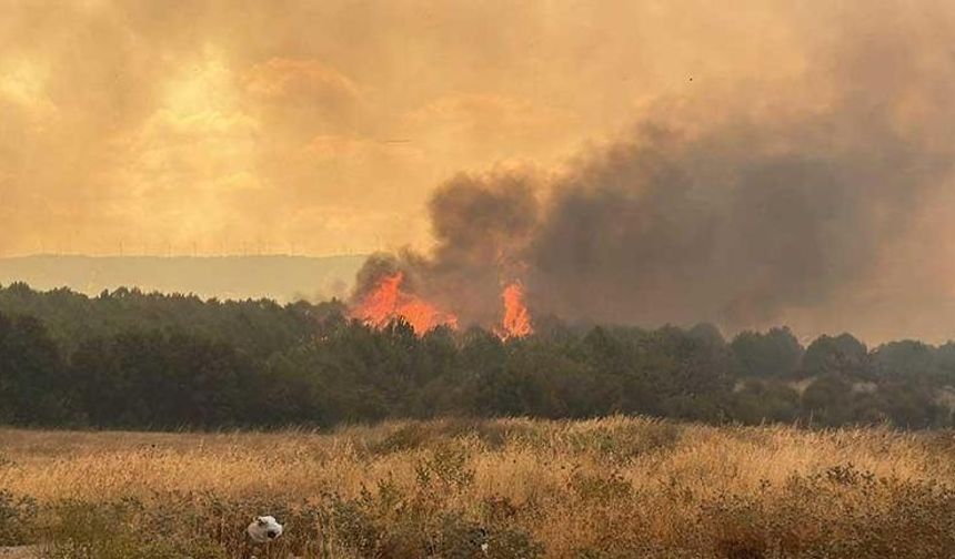 Son Dakika: Çanakkale, Konya ve Antalya alevlere teslim! Orman yangınları büyüyor, ekipler zamana karşı yarışıyor