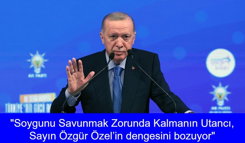 Cumhurbaşkanı Erdoğan'dan Özel'e Jet Yanıt: Soygunu Savunmak Zorunda Kalmanın Utancı, Sayın Özel’in dengesini bozuyor