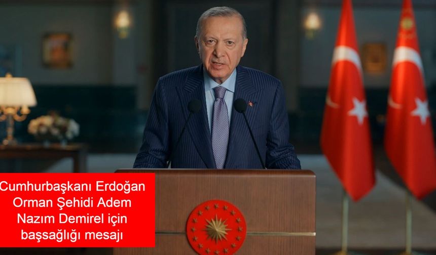 Cumhurbaşkanı Erdoğan'dan Orman Şehidi Adem Nazım Demirel için başsağlığı mesajı