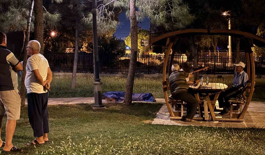 Denizli’de koyunlarını otlatıp evine dönerken yere düştü: 67 yaşındaki Adem Akkalp hayatını kaybetti