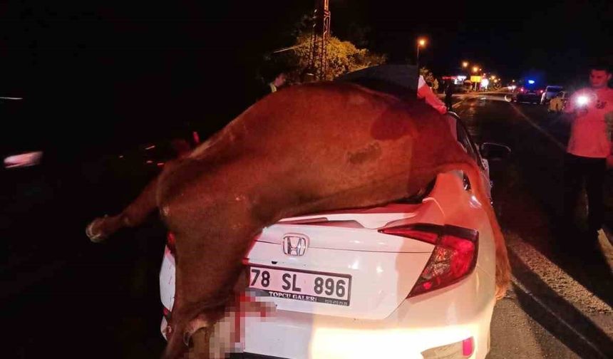 Karabük’te Yola Çıkan İnek Otomobilin Çarpmasıyla Telef Oldu, Sürücü Son Anda Kurtuldu