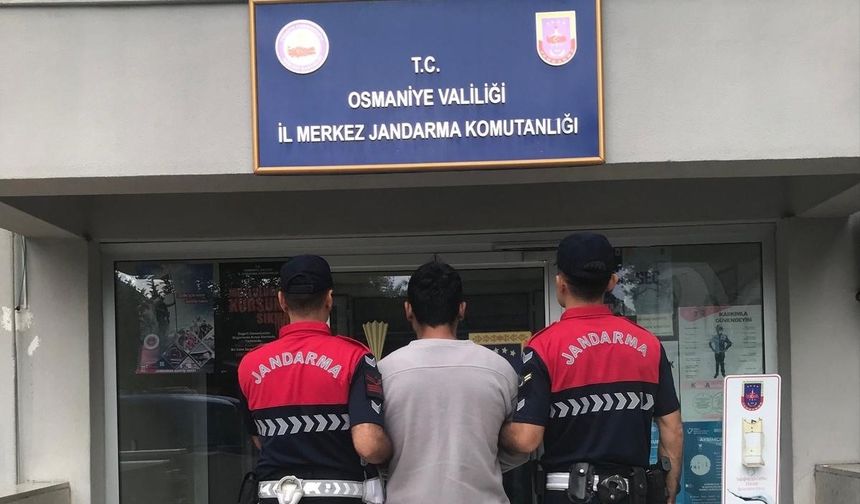 Osmaniye Jandarmasından Suçlulara Nefes Aldırmayan Operasyon: 124 Gözaltı