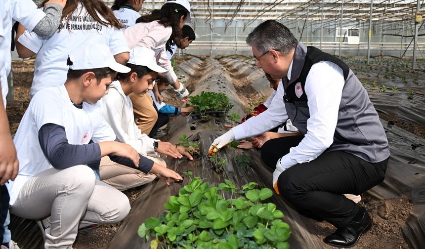Osmaniye’de Kalpler Birleşti, Toprak Güldü: Miniklerden Renkli Çilek Ekimi Etkinliği!