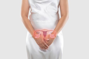 Depositphotos 415784214 Stock Photo Illustration Uterus Woman Body Gray