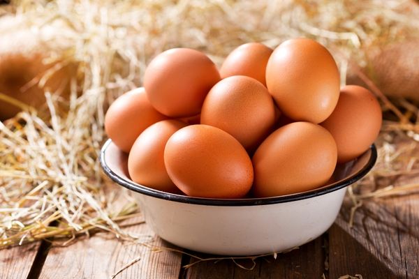 Yumurta Uzerindeki Kodlar Ne Anlama Geliyor 3