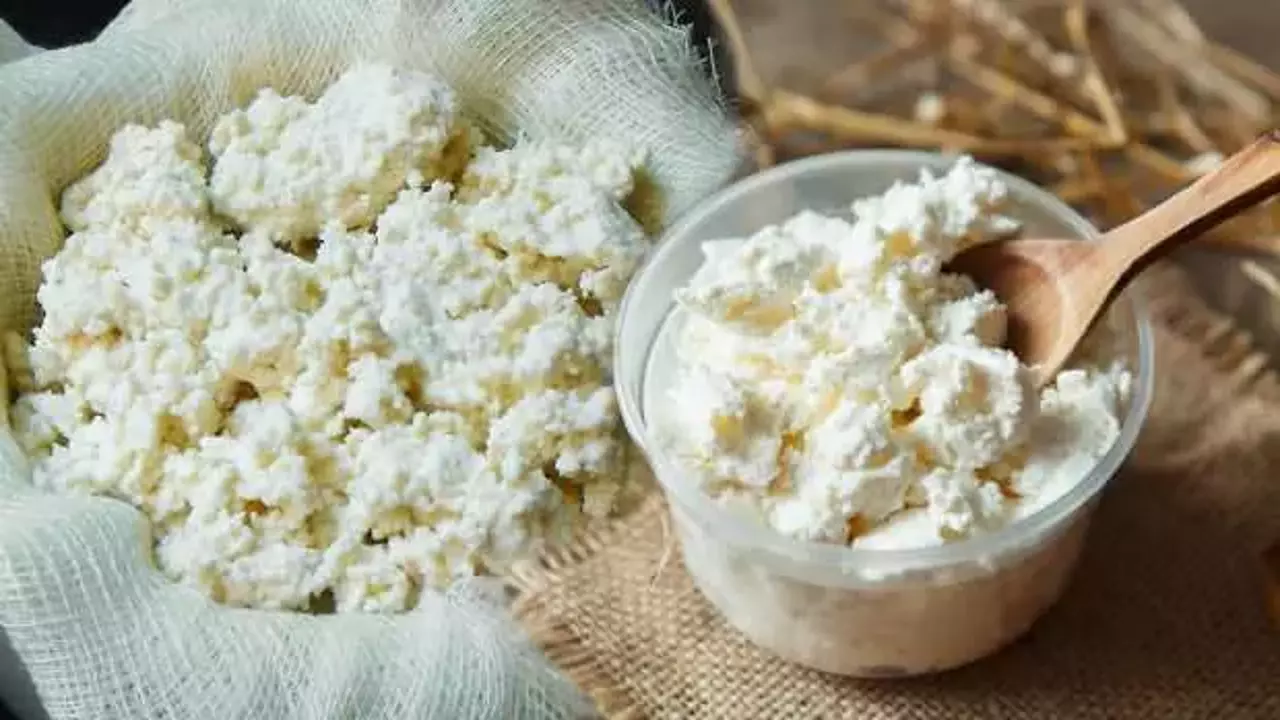 Yumurtadan 70 Kat Daha Fazla Protein Iceriyor Lor Peynirinin Faydalari Nelerdir Nasil Yenir 1705400229 8167