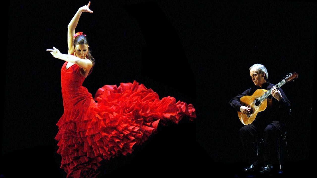 Flamenco 03