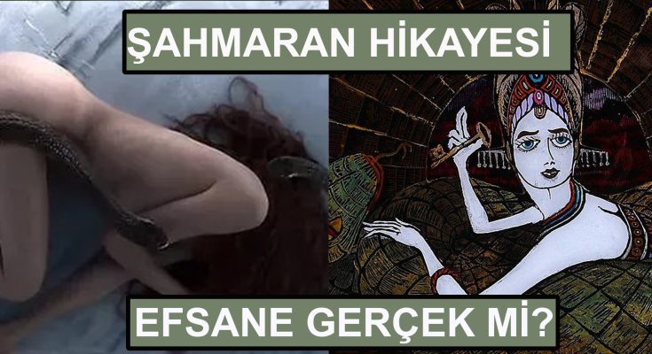 Sahmaran Hikayesi 735X400