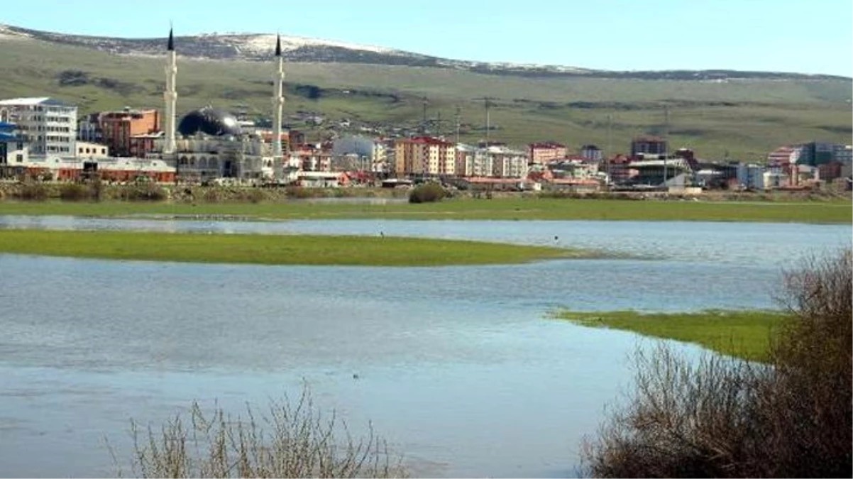 Ardahan Kura Nehri Tasti Ardahan