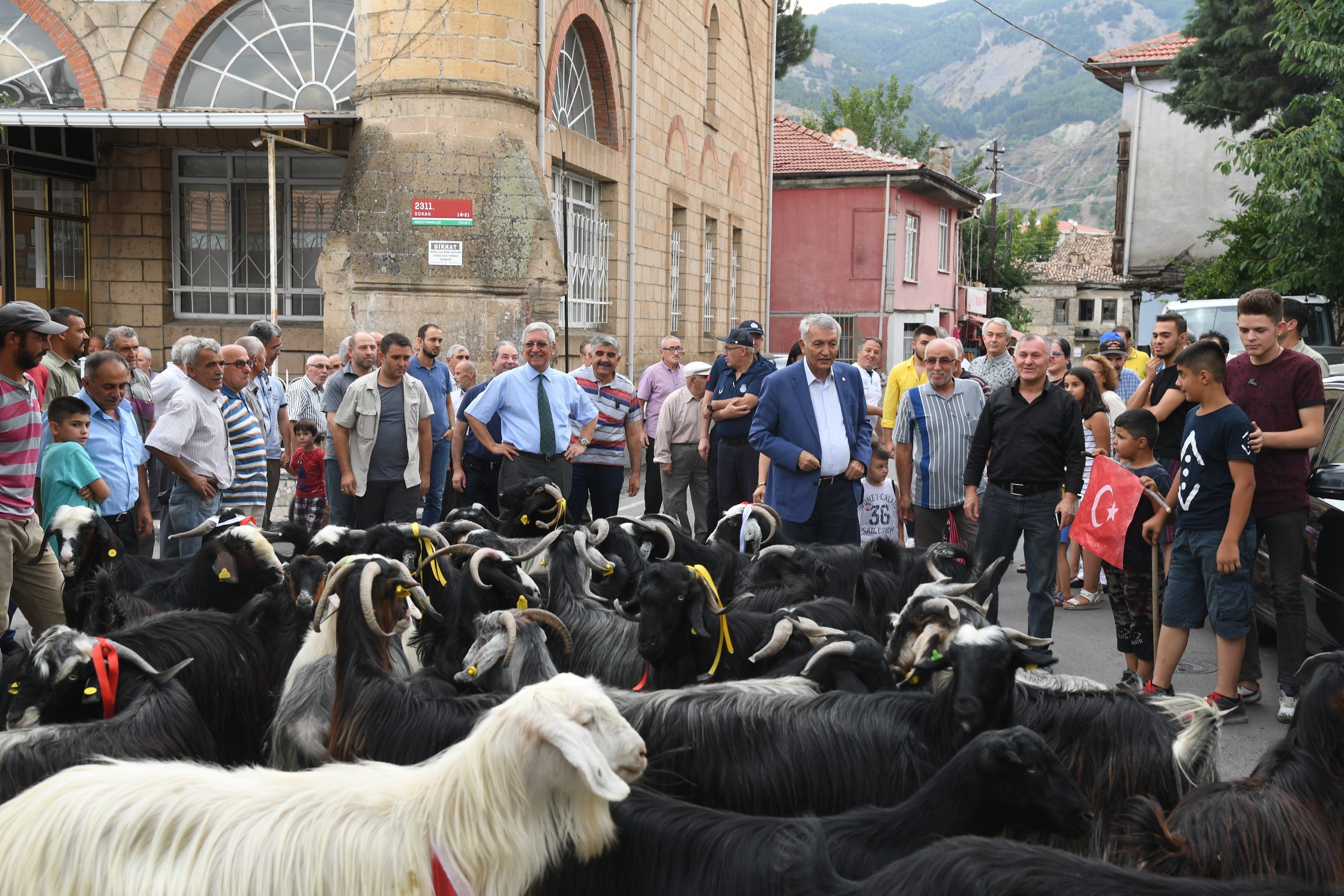 20 08 2018 Dogancı Kurban Indirm