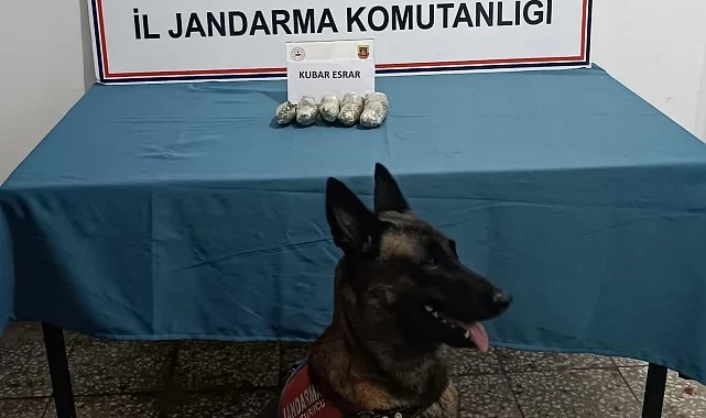 Osmaniye39De Jandarmadan Tarihi