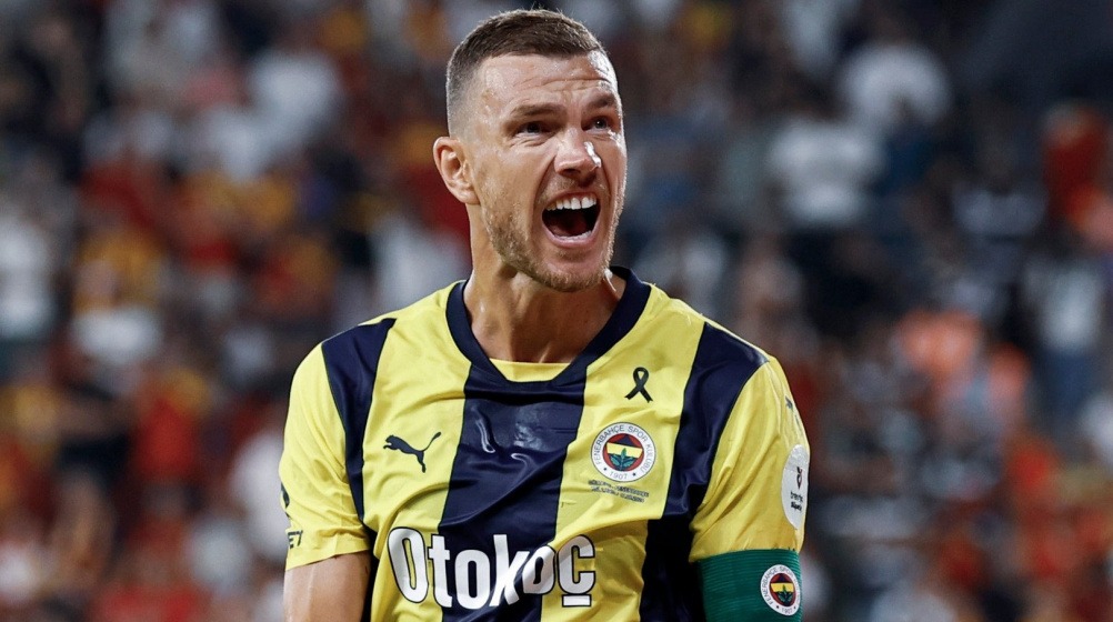 Edin Dzeko Fenerbahce2 172405703