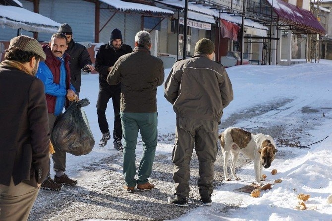 Osmaniyedeki Zorkun Yaylasi Yaba