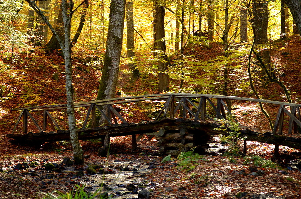 Yedi Goller National Park Turkey